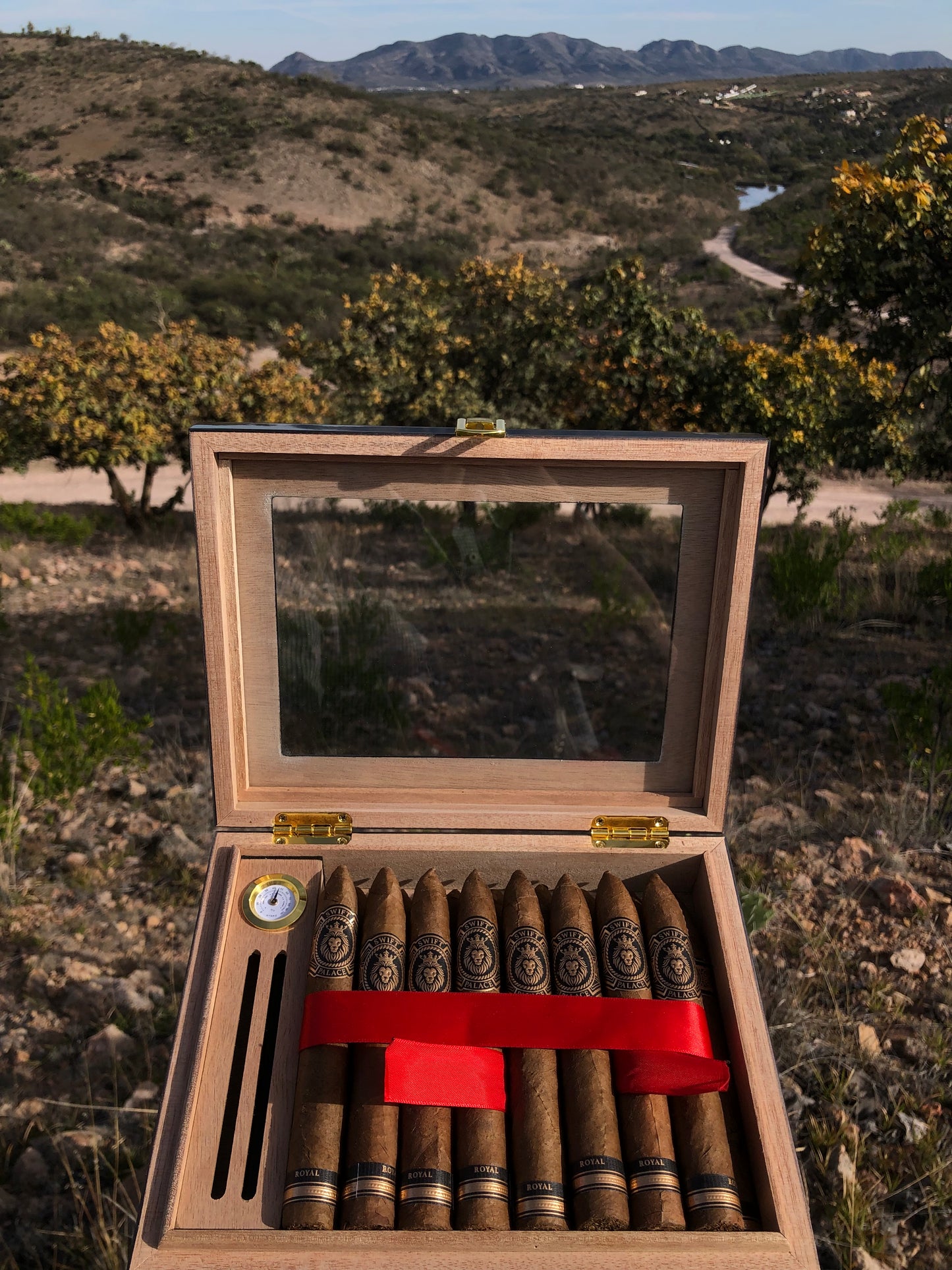 Torpedo Swift Royal Box Unlimited