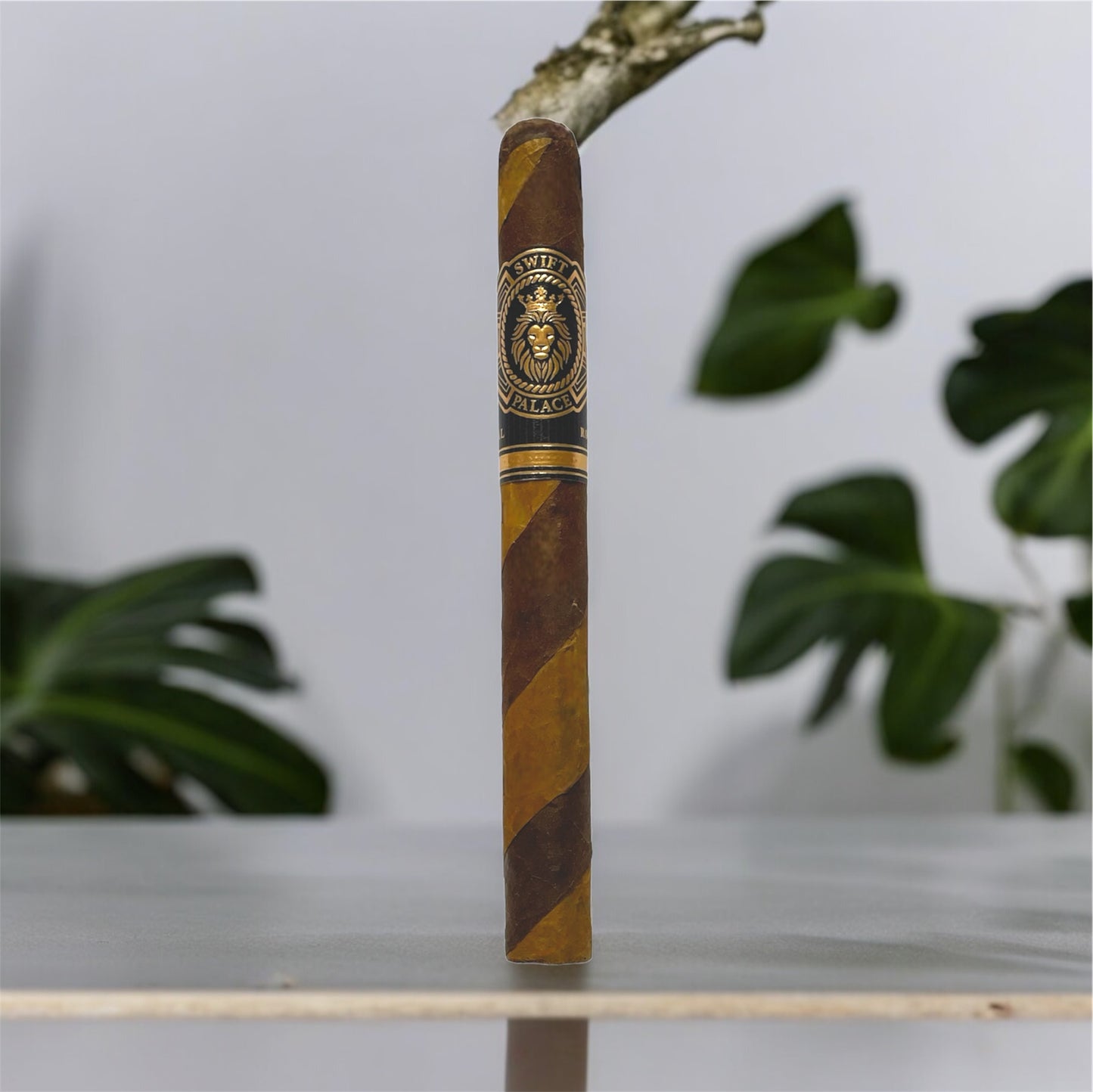 Swift Double Black